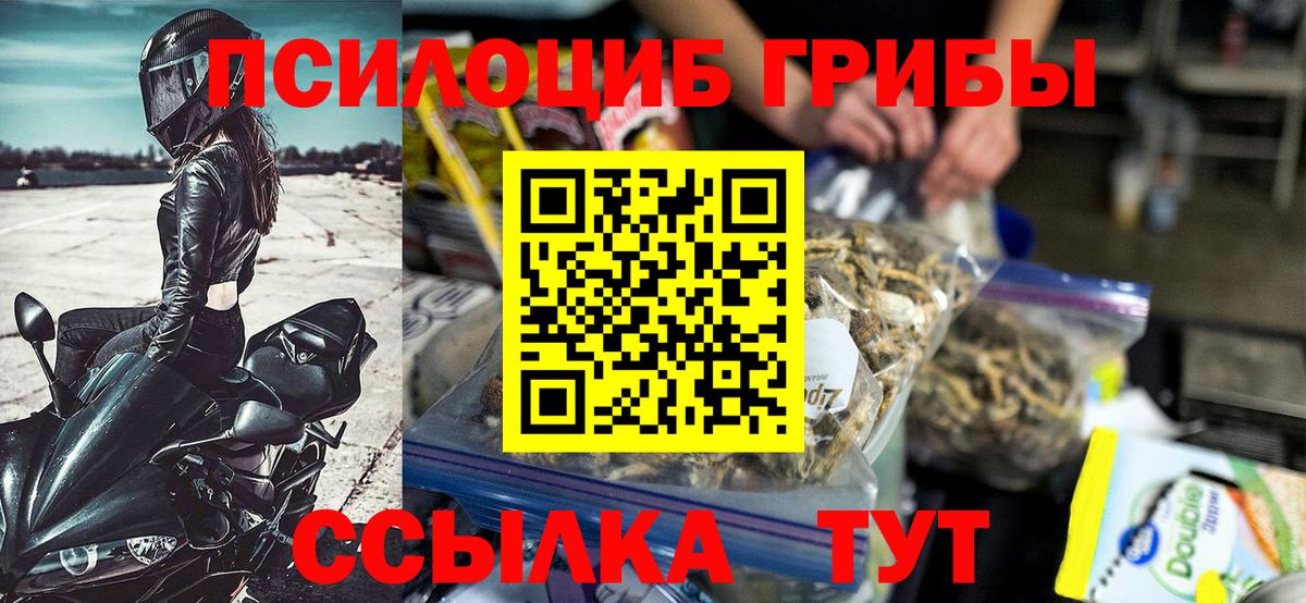 Лениногорск  Галлюциногенные грибы Psilocybine cubensis  Псилоцибиновые грибы прущие грибы  Вход с VPN 